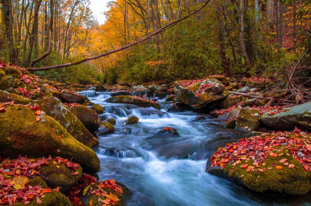 Asheville, North Carolina